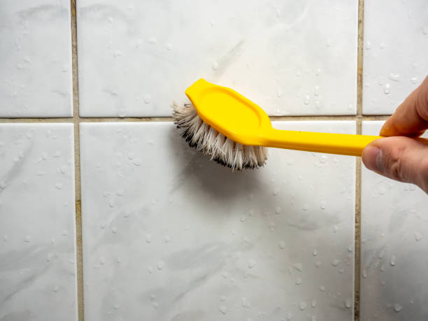 Professional Mold Removal in Honolulu, HI