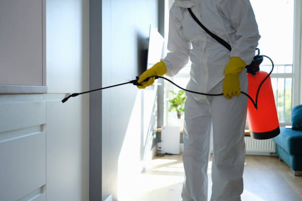 Best Toxic Mold Removal  in Honolulu, HI