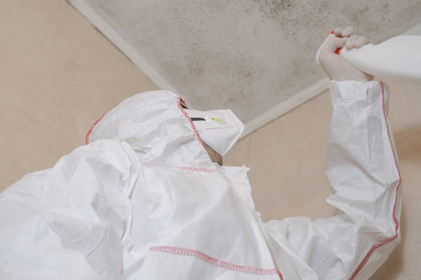 Best Mold Removal Near Me  in Honolulu, HI